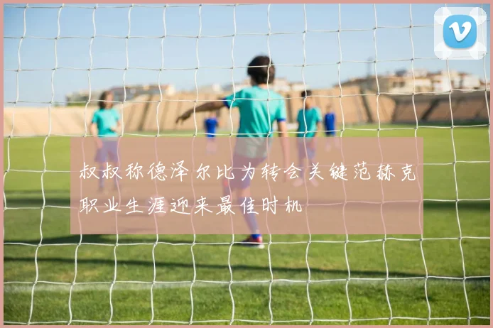 叔叔称德泽尔比为转会关键范赫克职业生涯迎来最佳时机