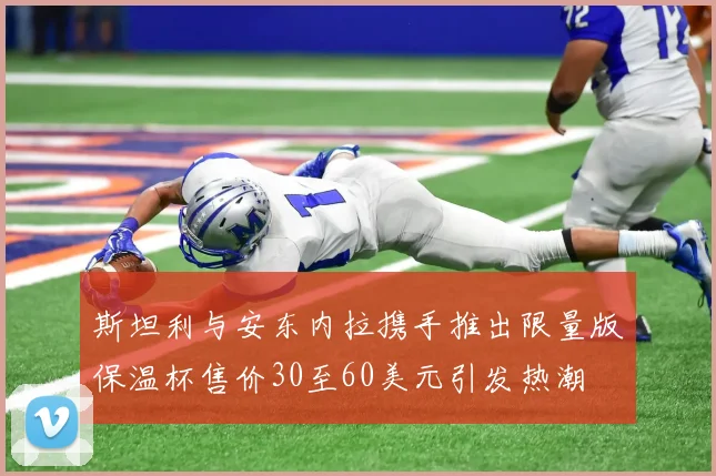 斯坦利与安东内拉携手推出限量版保温杯售价30至60美元引发热潮