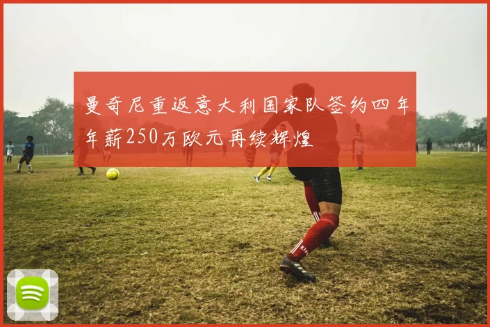 曼奇尼重返意大利国家队签约四年年薪250万欧元再续辉煌