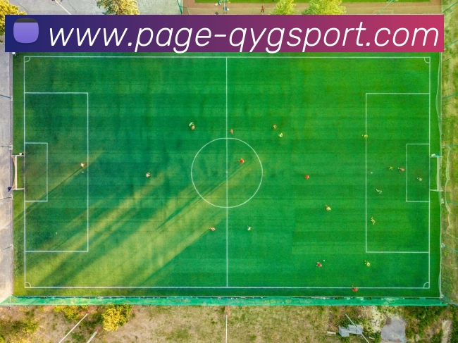 APP界面展示