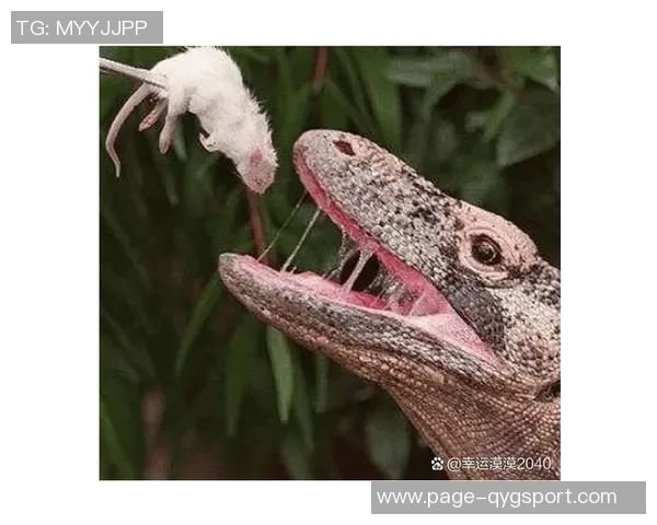 中场铁闸凯塞多本赛季英超抢断拦截双料第一展现强大防守能力 中场铁闸凯塞多本赛季英超抢断拦截双料第一展现强大防守能力